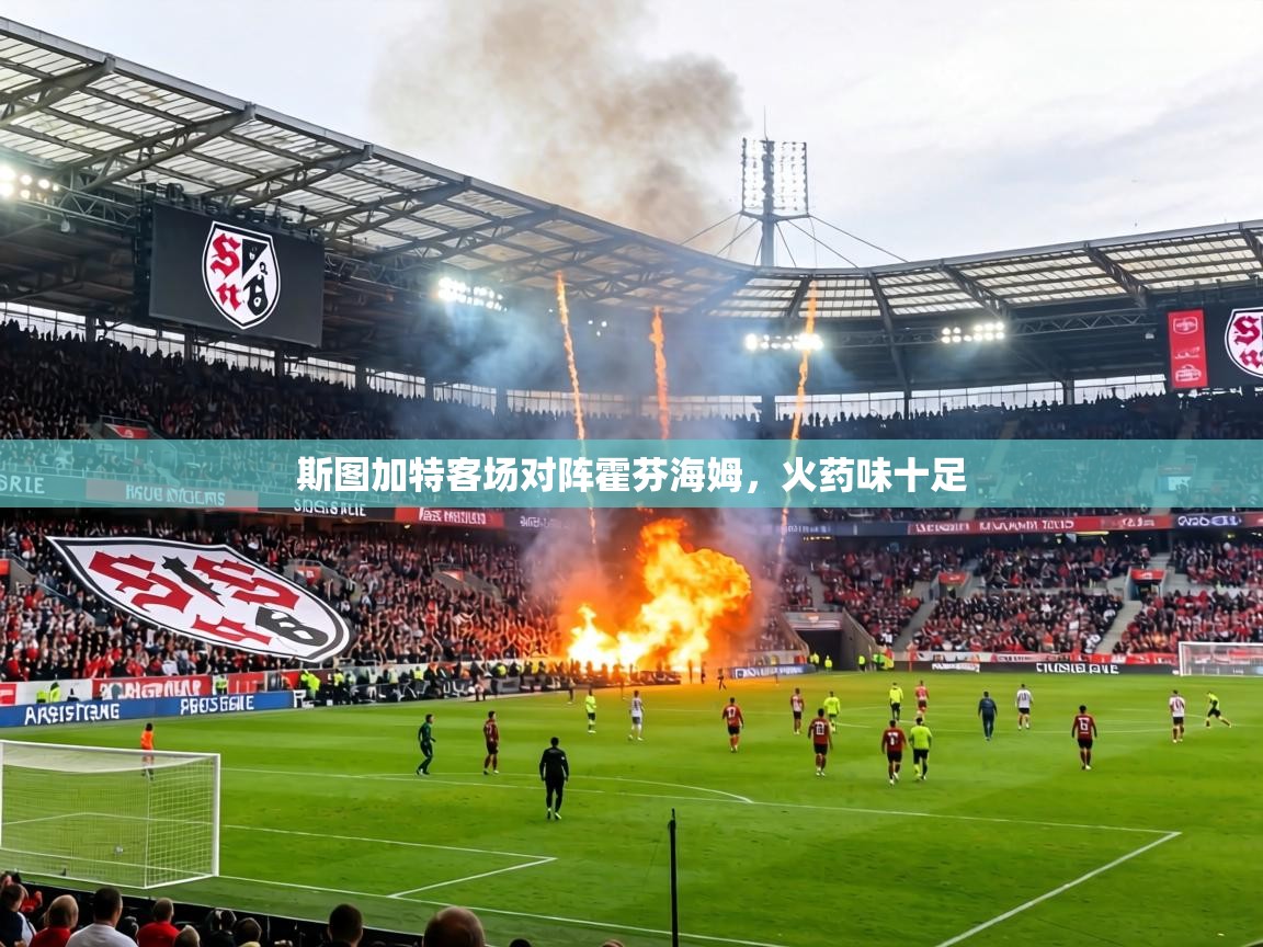 斯图加特客场对阵霍芬海姆，火药味十足  第2张